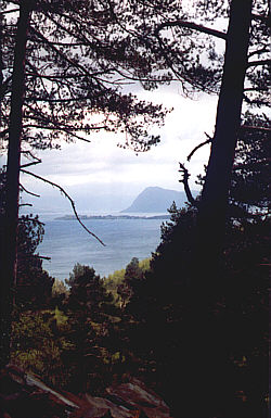 Blick von Amdal über den Vindafjord
