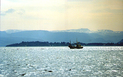 Fischkutter auf dem Vindafjord